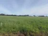 Lot 12 Coast Rd, Tickera, SA 5555-Image