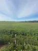 Lot 12 Coast Rd, Tickera, SA 5555-Image