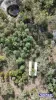 Lot 12, Kumbia Road, Ellesmere, Qld 4610-Image