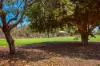 Lot 1208, Cypress Circle, Djugun, WA 6725-Image