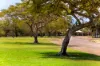 Lot 1208, Cypress Circle, Djugun, WA 6725-Image