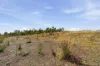 Lot 123 Apollo Avenue, Legana, Tas 7277-Image