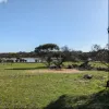 Lot 124 Lake View Road, Minlaton, SA 5575
