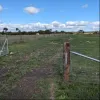 Lot 124 Lake View Road, Minlaton, SA 5575-Image