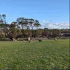 Lot 124 Lake View Road, Minlaton, SA 5575-Image
