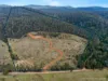 Lot 13, 524 Rosedale Road, Bicheno, Tas 7215-Image
