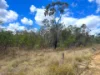 Lot 13 Walkers Road, Ballogie, Qld 4610