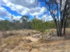 Lot 13 Walkers Road, Ballogie, Qld 4610-Image