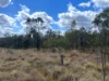Lot 13 Walkers Road, Ballogie, Qld 4610-Image