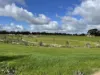 Lot 138, 41 Wild Oat Drive Echuca Fields Stage 4A, Echuca, Vic 3564-Image