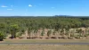 Lot 14, 237 Stocks Road, Apple Tree Creek, Qld 4660