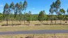 Lot 14, 237 Stocks Road, Apple Tree Creek, Qld 4660-Image