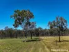 Lot 14 Luna Rise, Nanango, Qld 4615-Image