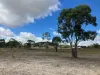 Lot 14 Maugeri Lane, Stanthorpe, Qld 4380-Image