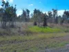 Lot 14, Midge Point Road, Midge Point, Qld 4799-Image
