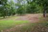 Lot 14, Wiseman Road West, Edmonton, Qld 4869-Image