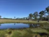 Lot 141 Neill Road, Rosedale, Qld 4674-Image