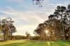 Lot 15 Cedars Drive, Pokolbin, NSW 2320-Image