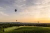 Lot 15 Cedars Drive, Pokolbin, NSW 2320-Image