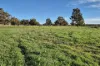 Lot 152, Warru Road, Ginginup, WA 6503-Image