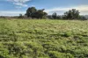 Lot 152, Warru Road, Ginginup, WA 6503-Image