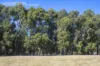 Lot 155, Springfield Farm, Yallingup, WA 6282-Image