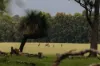 Lot 155, Springfield Farm, Yallingup, WA 6282-Image