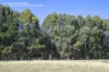 Lot 156, Springfield Farm, Yallingup, WA 6282