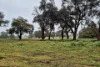 Lot 159, Chuditch Way, Ginginup, WA 6503