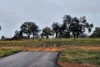 Lot 159, Chuditch Way, Ginginup, WA 6503-Image