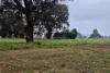Lot 159, Chuditch Way, Ginginup, WA 6503-Image