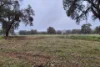 Lot 159, Chuditch Way, Ginginup, WA 6503-Image