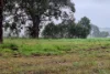 Lot 159, Chuditch Way, Ginginup, WA 6503-Image