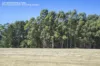 Lot 160, Springfield Farm, Yallingup, WA 6282-Image