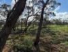 Lot 163, Tungali Road, Sandleton, SA 5356-Image