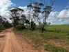 Lot 163, Tungali Road, Sandleton, SA 5356-Image