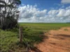 Lot 163, Tungali Road, Sandleton, SA 5356-Image