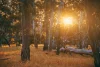 Lot 17, Preston River Rise, Boyanup, WA 6237-Image