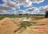 Lot 176, Narrakine Road, Narrogin, WA 6312-Image