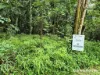 Lot 18 George Road, Forest Creek, Qld 4873