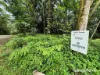Lot 18 George Road, Forest Creek, Qld 4873-Image