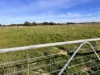 Lot 18, Mortimer Way, Millicent, SA 5280-Image