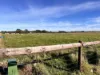 Lot 18, Mortimer Way, Millicent, SA 5280-Image