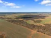 Lot 19 Three Chain Road, Truro, SA 5356-Image