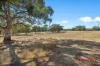 Lot 194, Running Postman Road, Cromer, SA 5235-Image