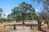 Lot 194, Running Postman Road, Cromer, SA 5235-Image