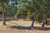 Lot 194, Running Postman Road, Cromer, SA 5235-Image