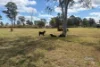 Lot 196 Bruce Highway, Tiaro, Qld 4650-Image