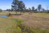 Lot 196 Bruce Highway, Tiaro, Qld 4650-Image
