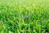 Lot 2, 10 Mitcham Road, Donvale, Vic 3111-Image